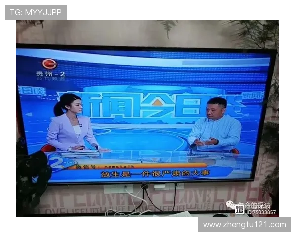 安徽公共频道高清直播在线观看精彩内容 安徽公共频道高清直播在线观看精彩内容